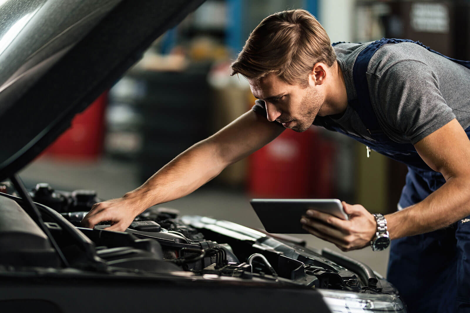 Provident Motors